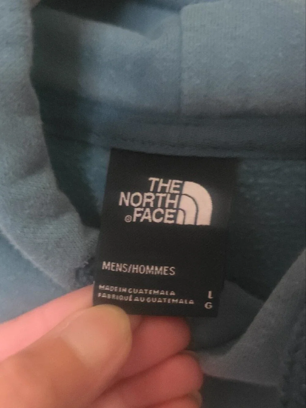 The North Face Hooded Pullover Sweatshirt